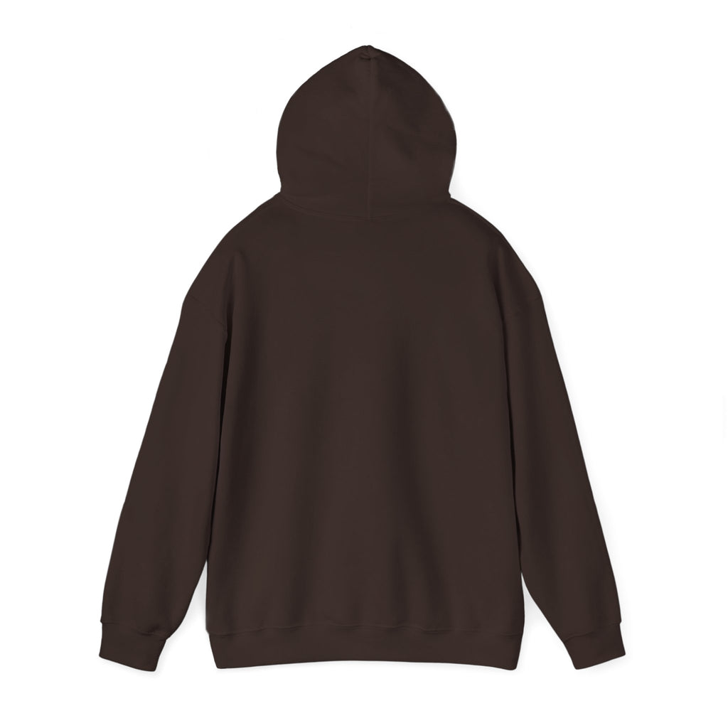 Nope Not Today Hoodie — Retro Block Letter Funny Casual Pullover
