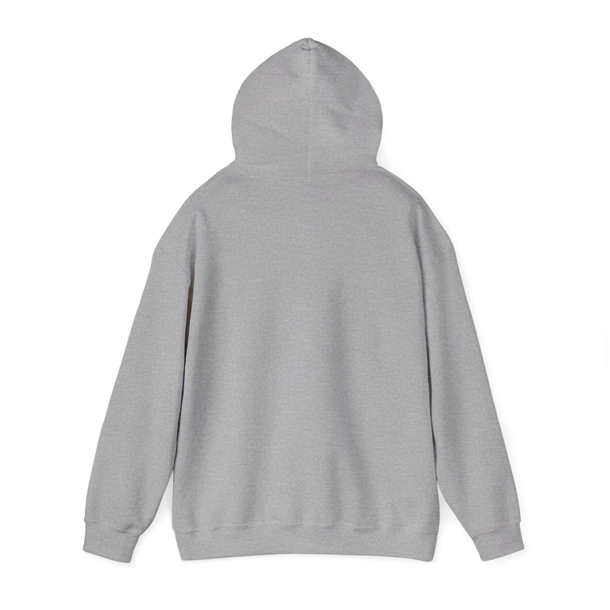 Hoodie — If My Mouth Doesn’t Say It Graphic Pullover Unisex