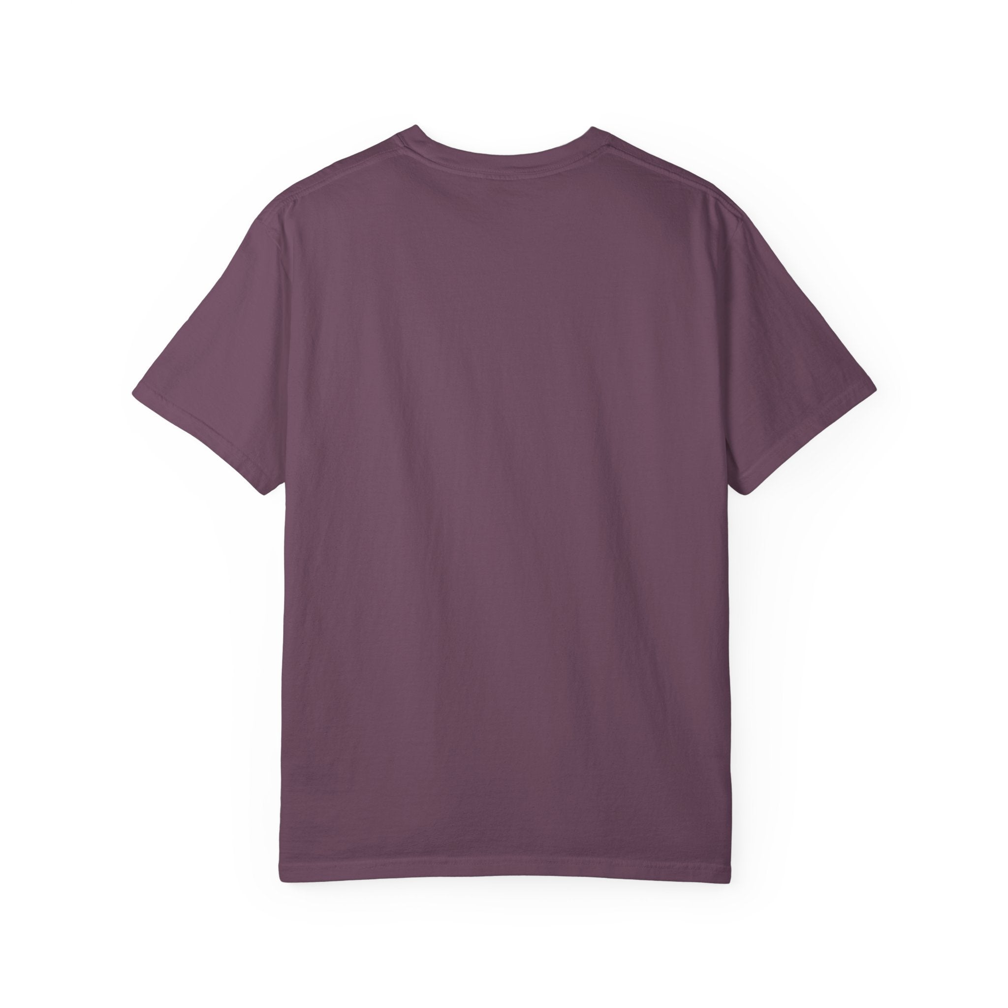 Go Pluck Yourself T-Shirt — Funny Feather Graphic Tee